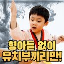타이거즈태권도 | [의정부신곡동태권도, 신곡2동태권도] 7세 전 태권도, '어디서'보다 '누구와' 하느냐가 중요한 이유