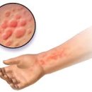 경희부흥한의원 이미지