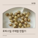 한우전자 | 로하스밀 후기 이유식 한우 토핑 활용한 한우 감자 치즈볼 주먹밥 만들기