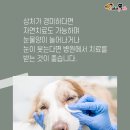 (주)페피테일 이미지