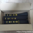 비향피싱