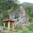 에덴 태양광발전소 이미지