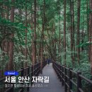 안산자락길 | 서울 안산 자락길 걸으면 힐링되는 초보 등산코스
