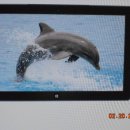 큰산공인중개사사무소 이미지