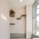 품속동물병원 이미지