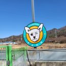 아이스홀릭 정관점 | 양산 몬순이네 유기견쉼터 후원이야기(22년 02월) 양산유기견센타