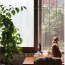 타이어프로 물금점 이미지