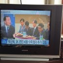 하자포
