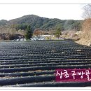 아주1차 이미지