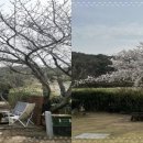 그해, 경주 이미지