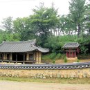 영천 조치우 옥비 Daum카페