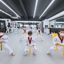 국가대표최강태권도장