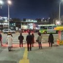 울산지역 바닥신호등 색상표출오동작…시민 혼란 이미지