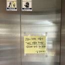 냥린이네 | [구미/카페] 개냥이가 가득한 냥린이네 인동 진평 고양이 카페 내돈내산 솔직후기