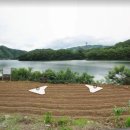 신114공인중개사사무소 이미지