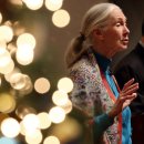 제인메디칼 이미지