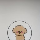 퍼피댕글 이미지