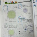 수학의달인 | 리드인 빨간펜 수학의달인 &amp; 용문문해력센터학원 후기