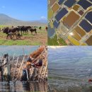 풍요로(동) 이미지