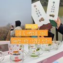 안개로 | 제주 새별오름 갔다가 망한 날… 안개 후기 + 500평 대형 소품샵 후기