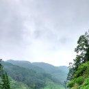 베뉴지 cc 이미지