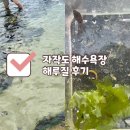 자작도해변 | [스페셜포토덤프] 강원도 고성 자작도 해수욕장 아이랑 해루질 후기, 노무라입깃해파리 쏘인 후기