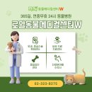 로얄동물메디컬센터w | 로얄동물메디컬센터 W : 강아지 발작 원인과 뇌 질환 MRI (지주막하낭종, 뇌수두증 )
