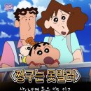 애니마인드