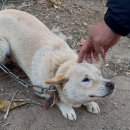 양반고을식당 이미지