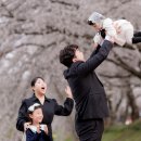 펠리스레스토랑 | [군산 돌스냅] 군산 은파팰리스 파르베 레스토랑 돌잔치 스냅 후기