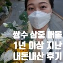 쌍수 매몰 1년 2년 이상 지난 후기 | 지방제거 삼중매몰 내돈내산