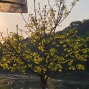 오동농장 이미지