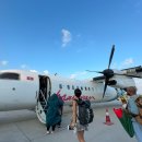 타이거짐복싱클럽 | 몰디브 푸물라섬 타이거샤크 스쿠버다이빙 후기 Fuvahmulah Maldives