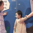 여수테디베어뮤지엄