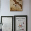 안경세상안경원 이미지