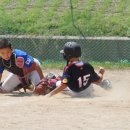 제주남초등학교 이미지