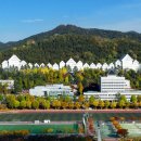 조선대학교 이미지