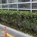 연제구 보훈회관 이미지