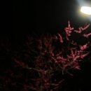 왕지 당구장 이미지