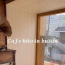 양갱아쿠아리움