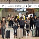 바글바글제주 이미지