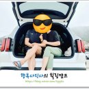 팰리스텔 이미지