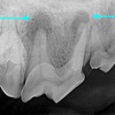 오류동물병원 이미지