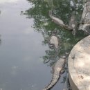 선길농장 이미지