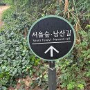 (정기) 4월 25일(화) 13:00 서울숲.남산길 걷기 이미지