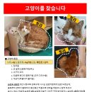 노해로 이미지