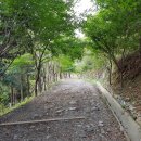 천마산조각공원 이미지