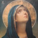 성모의지 이미지