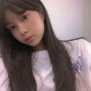 다연 이미지