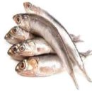 동아화성㈜ 이미지